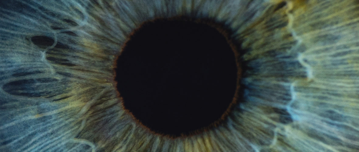 Schon gewusst? So entsteht unsere Augenfarbe Schon gewusst? So entsteht unsere Augenfarbe