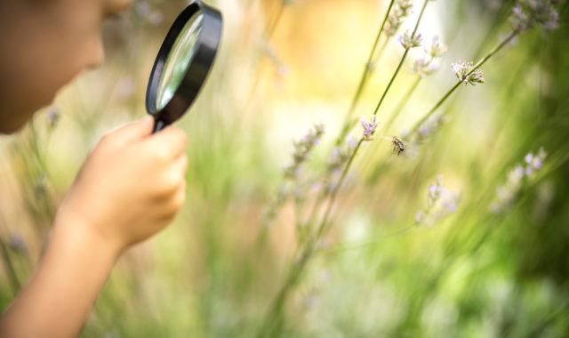 Wie Kinder sehen lernen