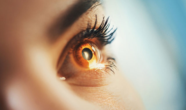 Aufbau und Funktion des Auges